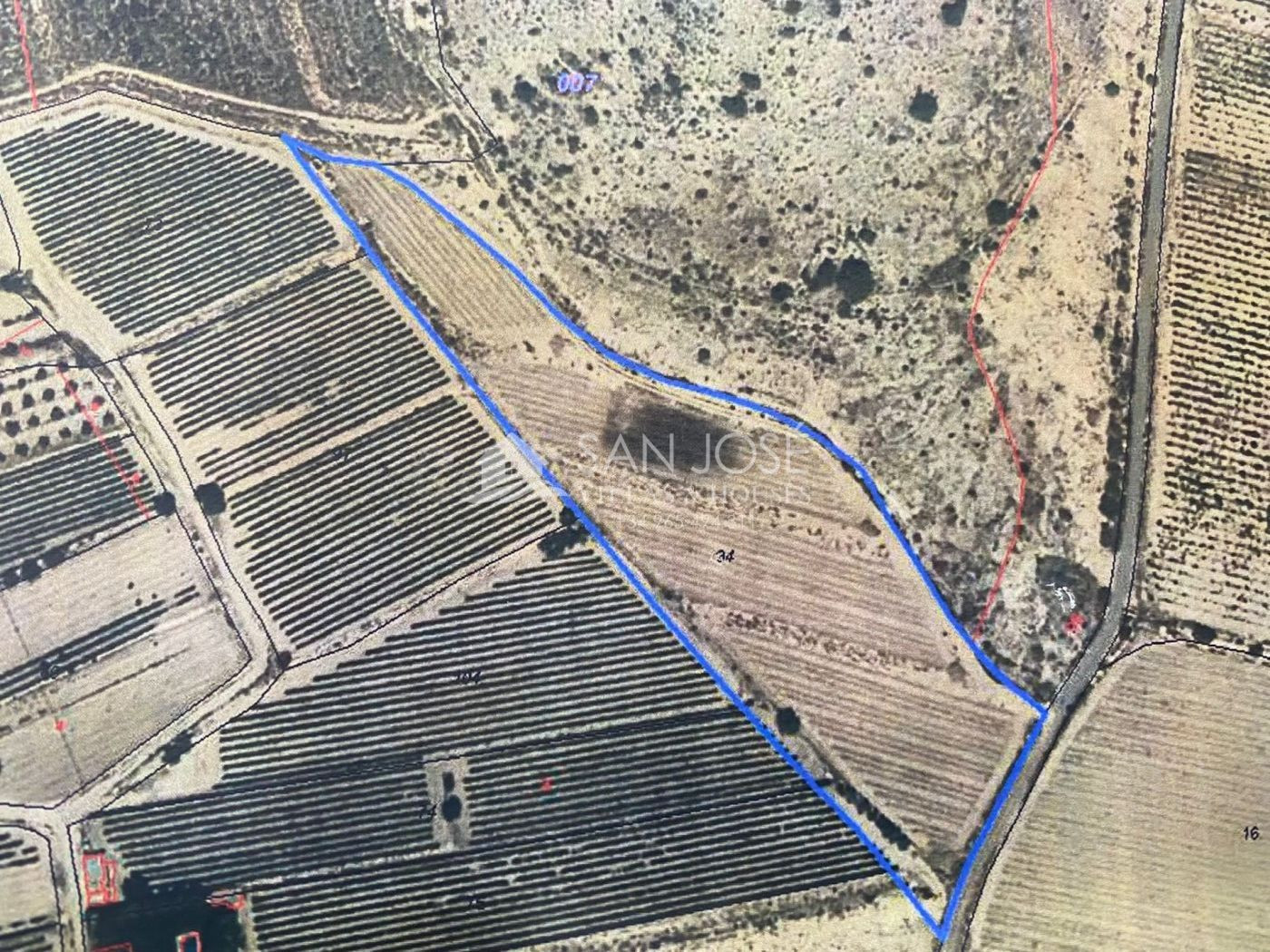 SE VENDE FINCA RUSTICA EN NOVELDA