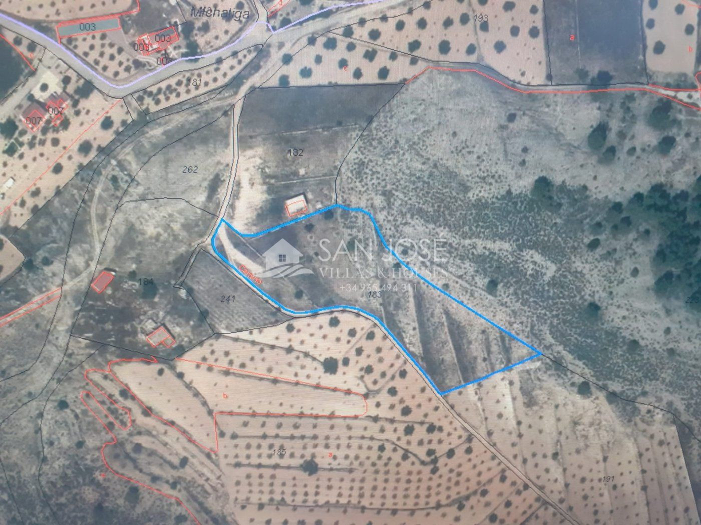 PARCELA EN HONDON DE LAS NIEVES , ALICANTE