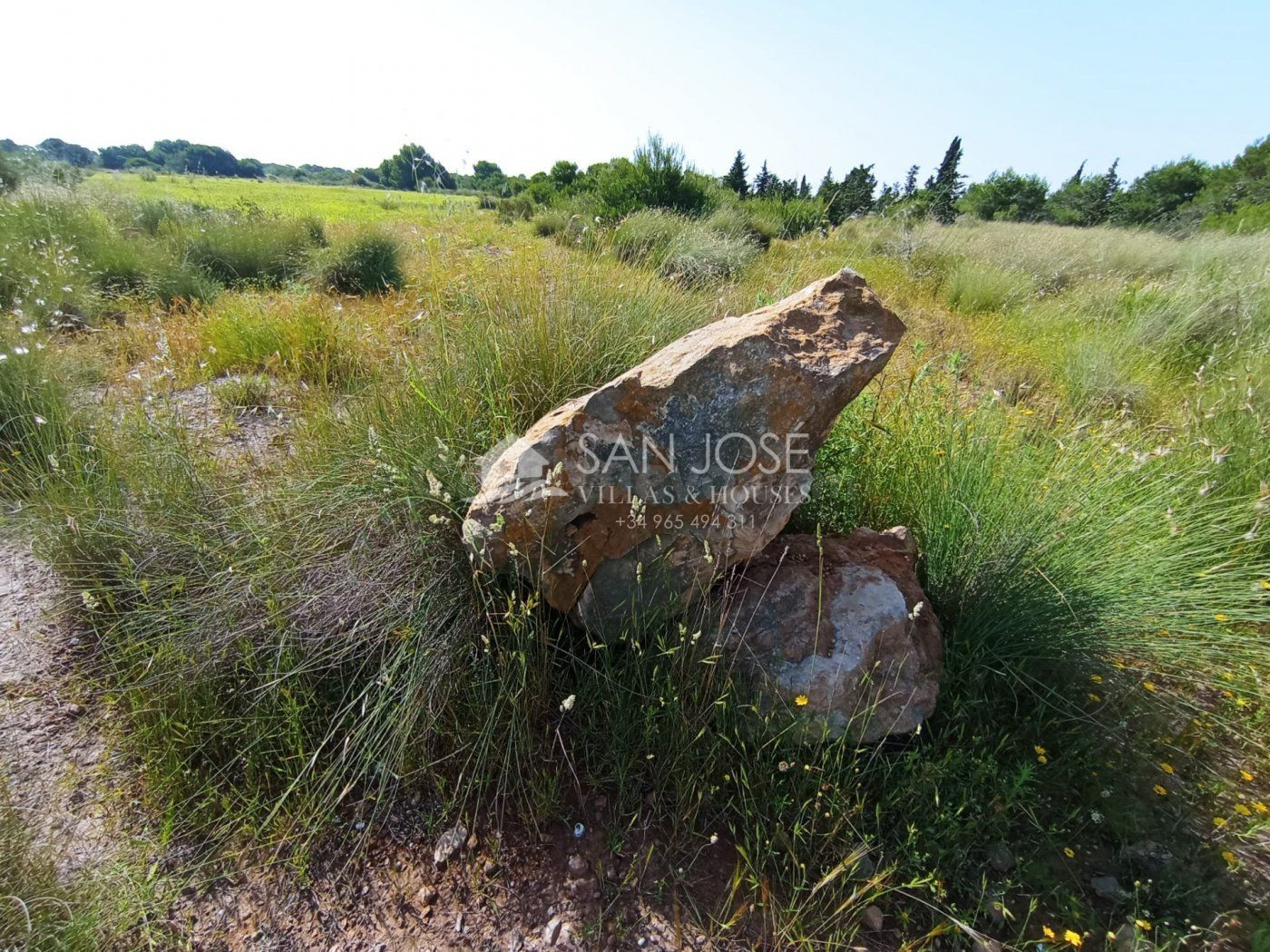 VENTA DE PARCELA AGRARIO EL ALTET
