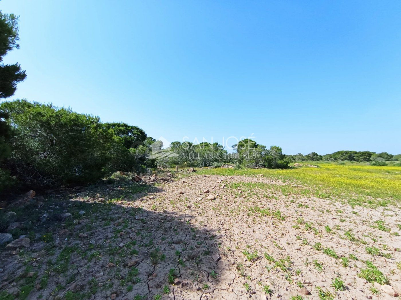 VENTA DE PARCELA RUSTICA EN EL ALTET
