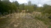 PARCELA PEGADA AL PUEBLO DE TORREMANZANAS - foto 2