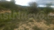 PARCELA PEGADA AL PUEBLO DE TORREMANZANAS - foto 3