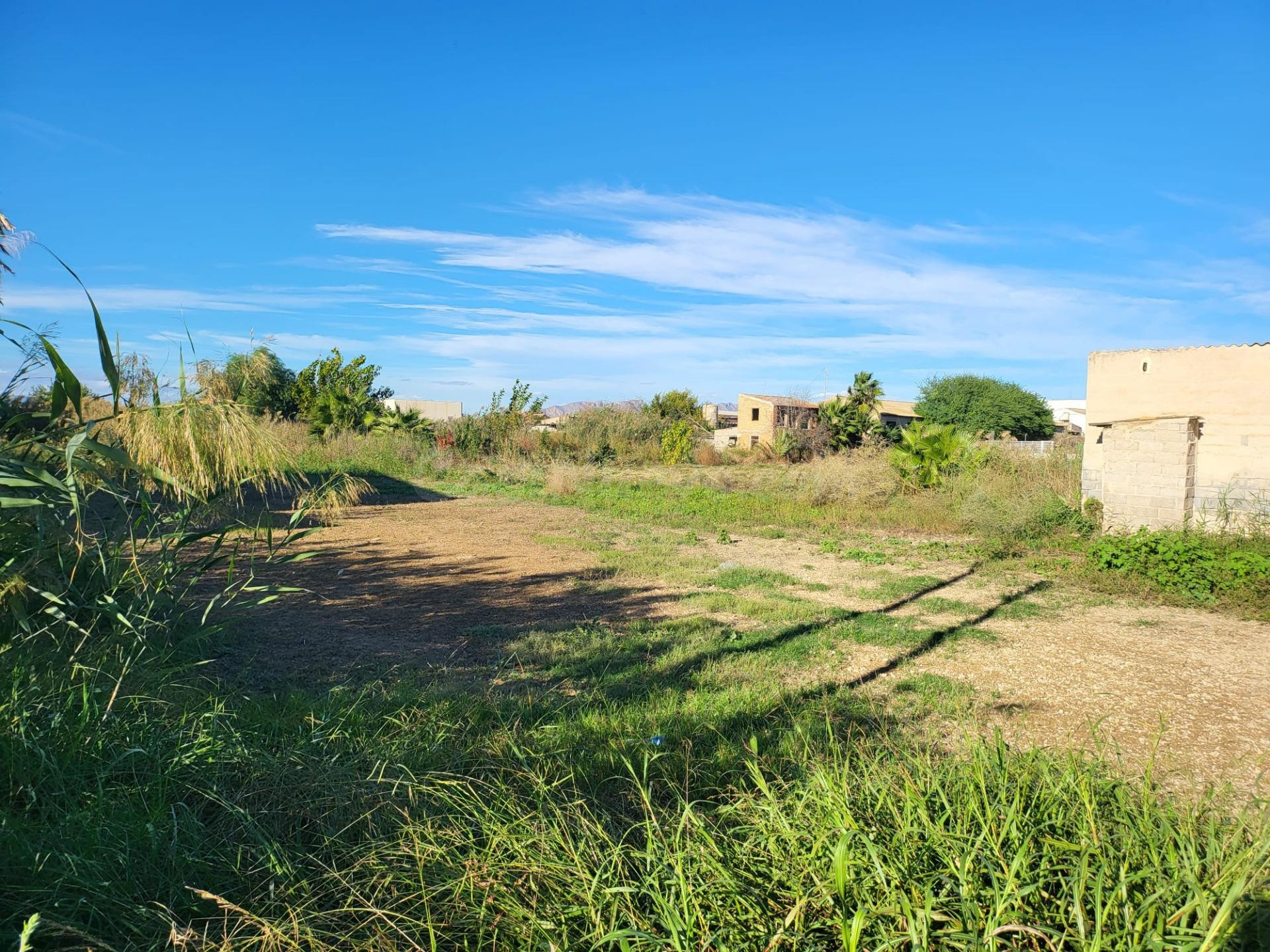 TERRENO EN LA HUERTA DE TORREAGUERA, MURCIA.