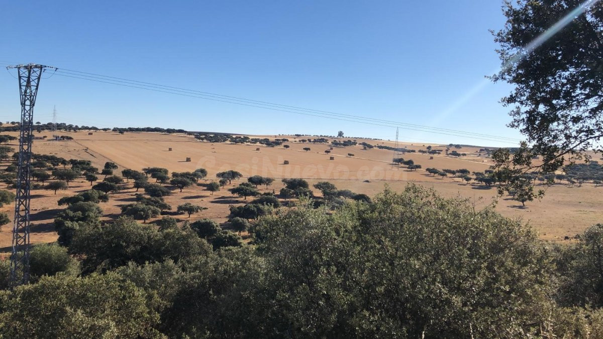 FINCA EN VALVERDE DE LEGANES