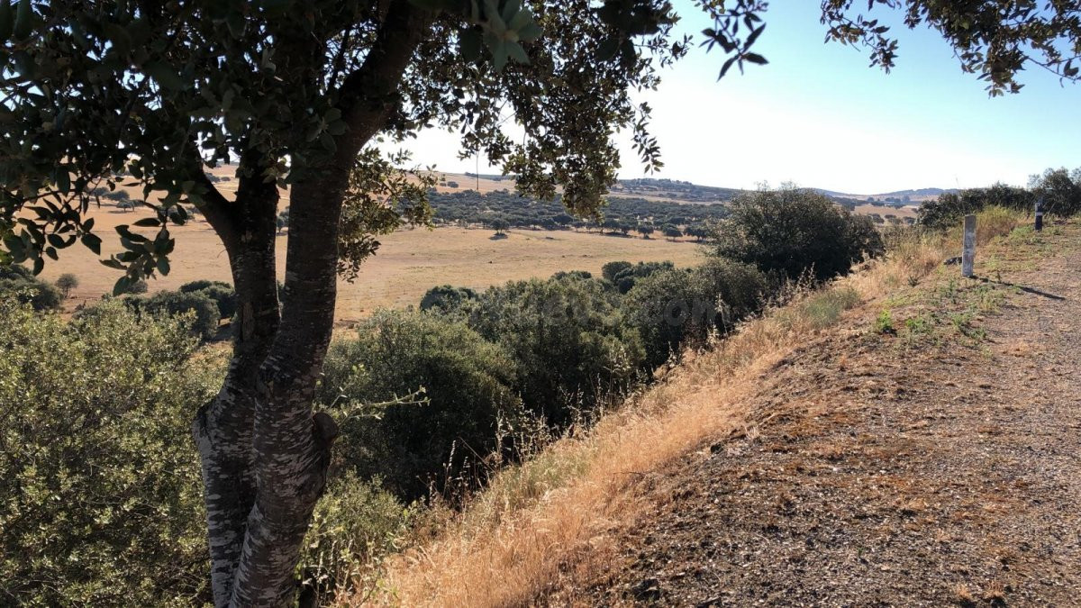 FINCA EN VALVERDE DE LEGANES - foto 2