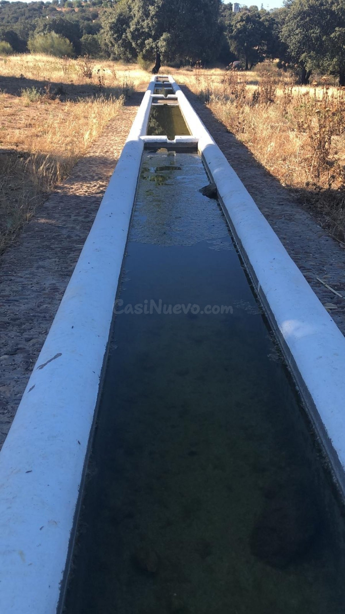 FINCA EN VALVERDE DE LEGANES - foto 4