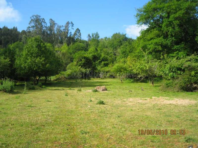 Finca rústica en venta en Alcalá de Henares Finca rústica -