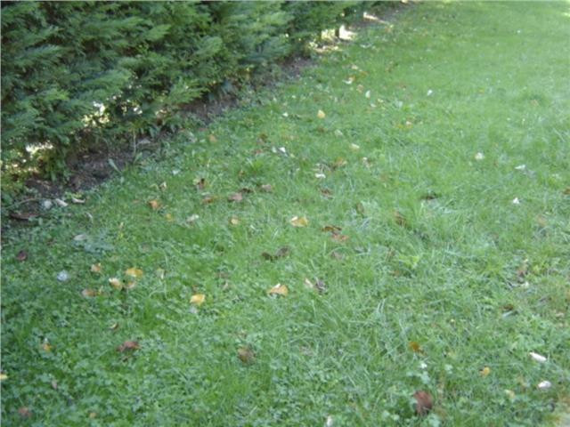 Venta de Terreno Urbano en Valle de Mena