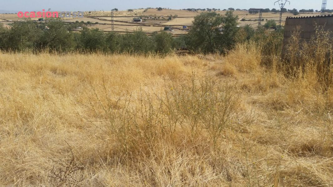 VENTA DE PARCELA EN PEDROCHE