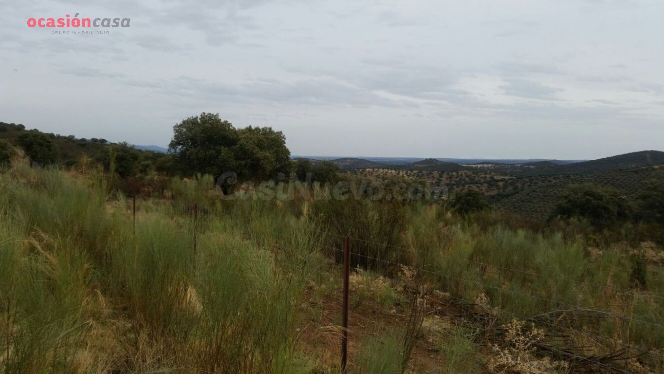 VENTA DE FINCA CINEGETICA