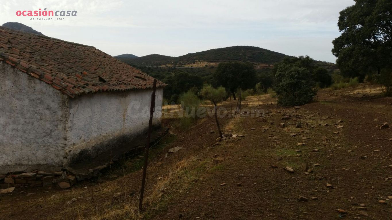 VENTA DE FINCA CINEGETICA - foto 2