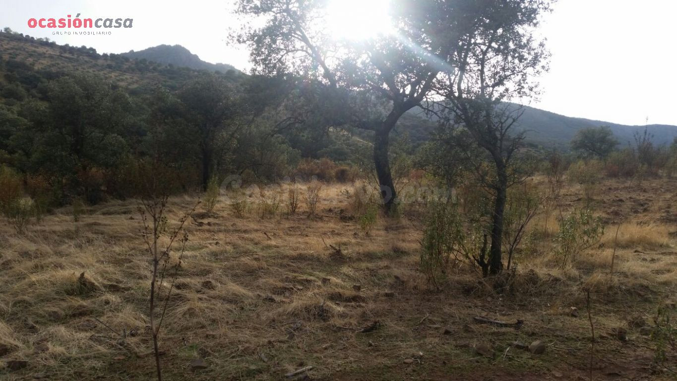 VENTA DE FINCA CINEGETICA - foto 3