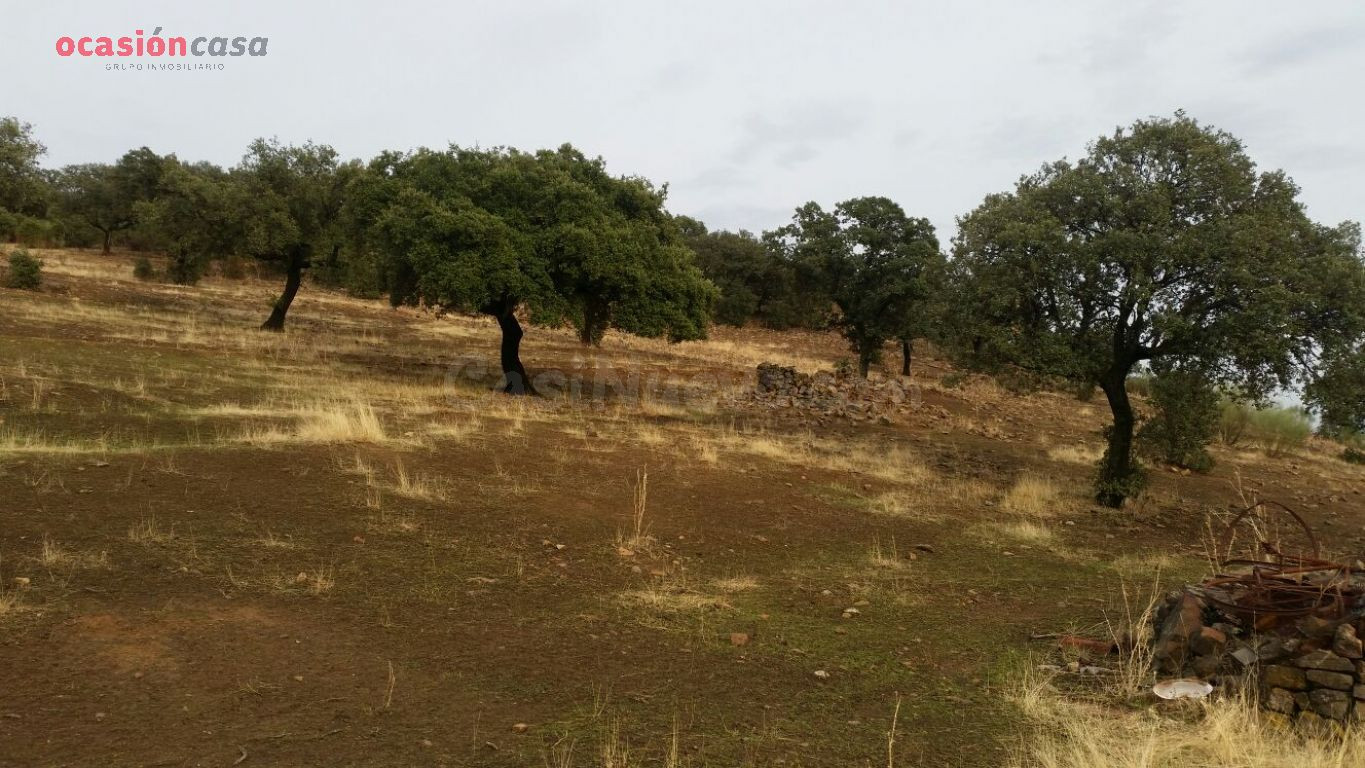 VENTA DE FINCA CINEGETICA - foto 4