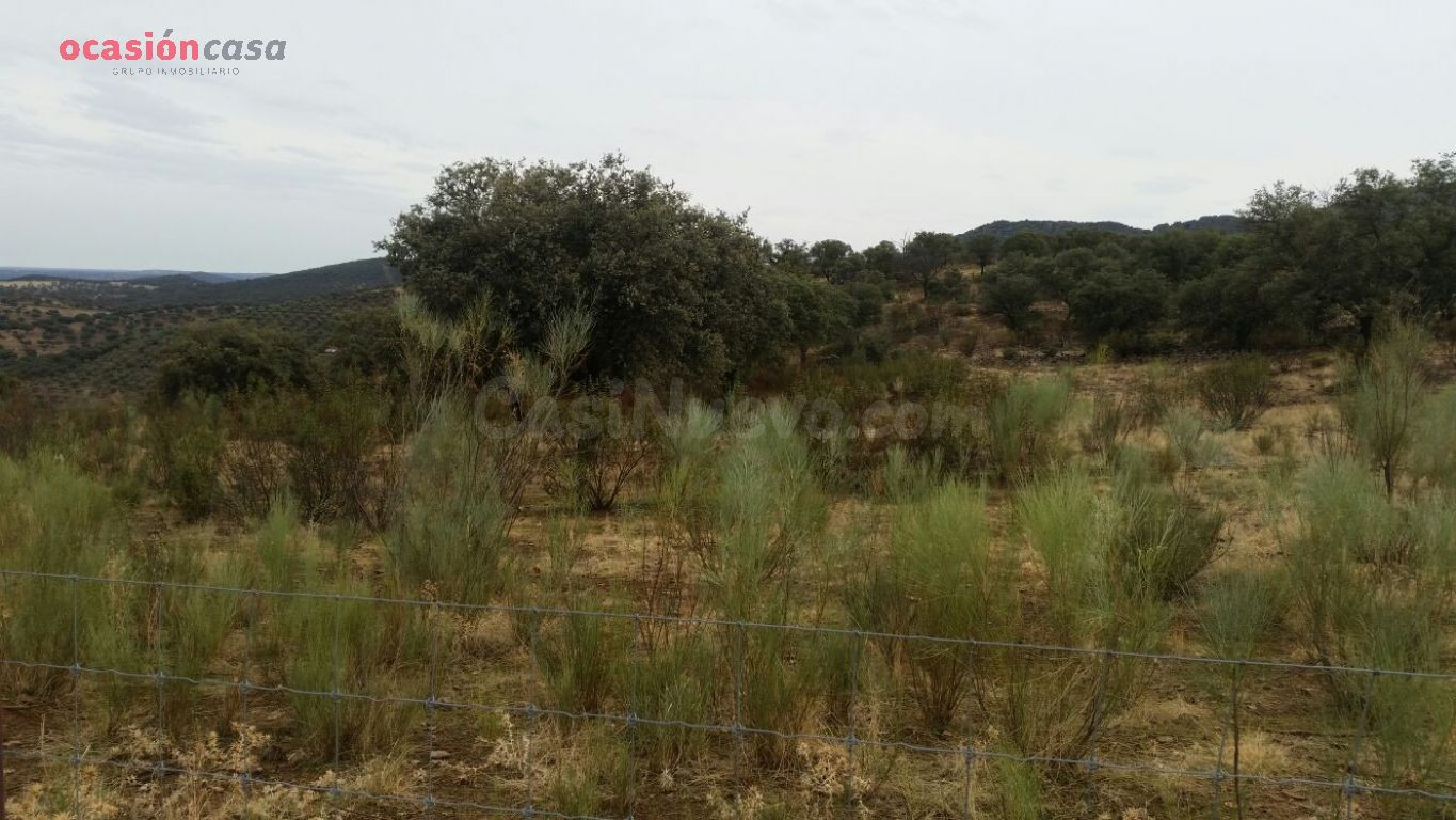 VENTA DE FINCA CINEGETICA - foto 5