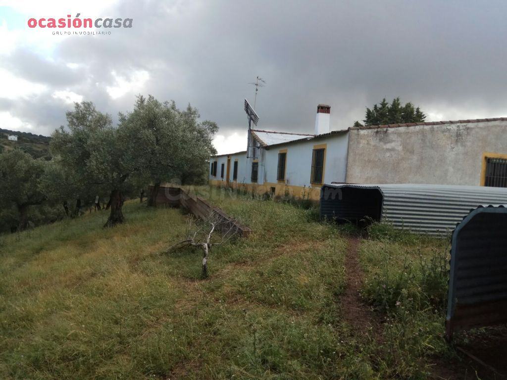 FINCA RUSTICA DE OLIVOS CON CORTIJOS Y NAVES