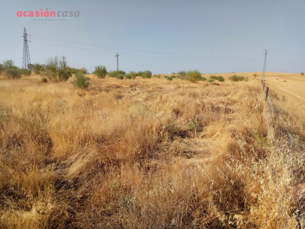 SE VENDE PARCELA CERCANA A POZOBLANCO