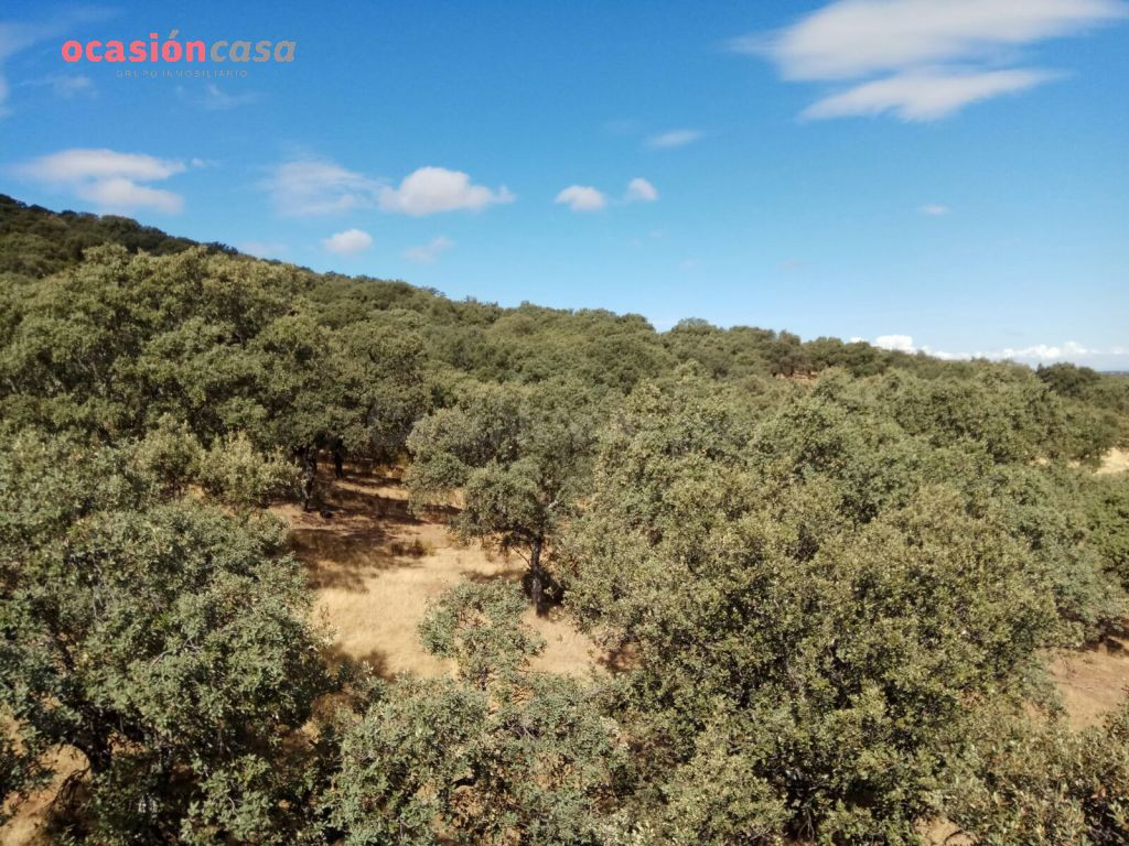 FINCA EN VENTA EN VILLANUEVA DEL DUQUE