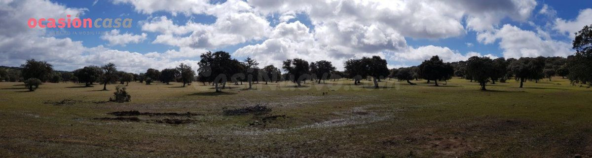 FINCA DE ENCINAS CON CORTIJO Y NAVES