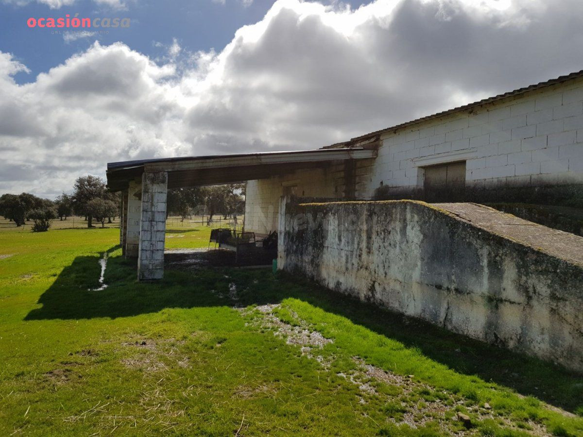 FINCA DE ENCINAS CON CORTIJO Y NAVES - foto 4