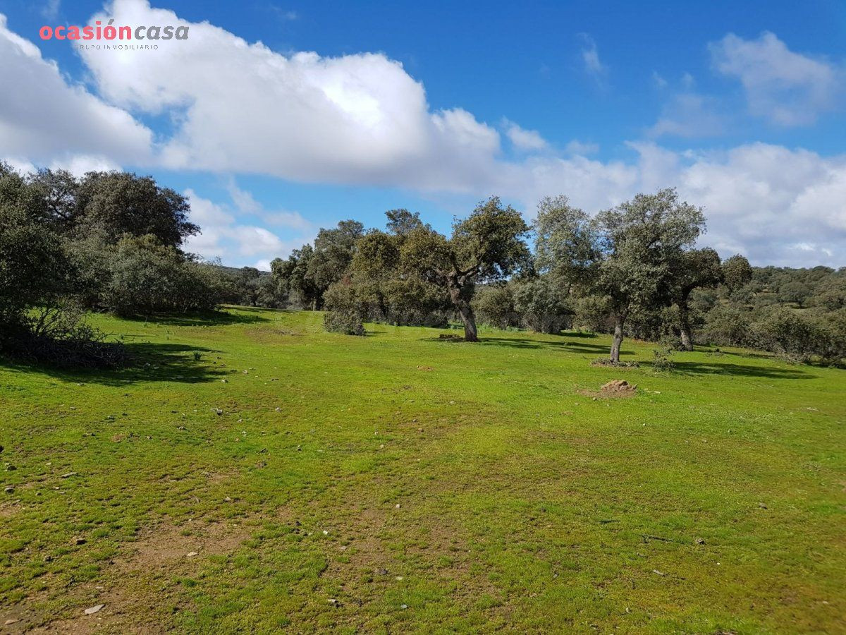 FINCA DE ENCINAS CON CORTIJO Y NAVES - foto 5