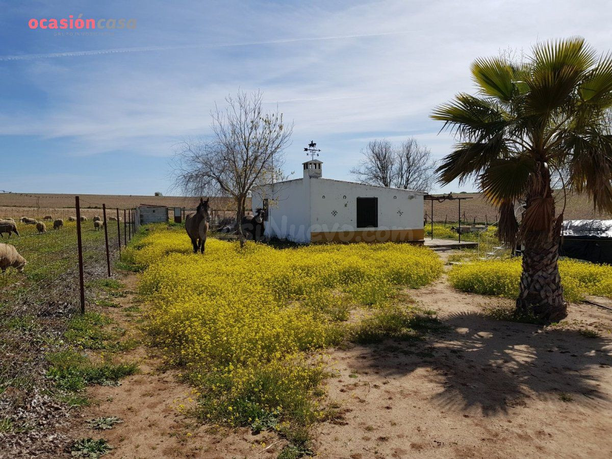 PARCELA CON PEQUEÑA CASA Y POZO