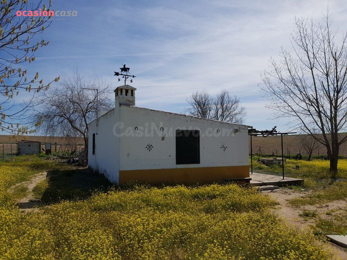 PARCELA CON PEQUEÑA CASA Y POZO - foto 2