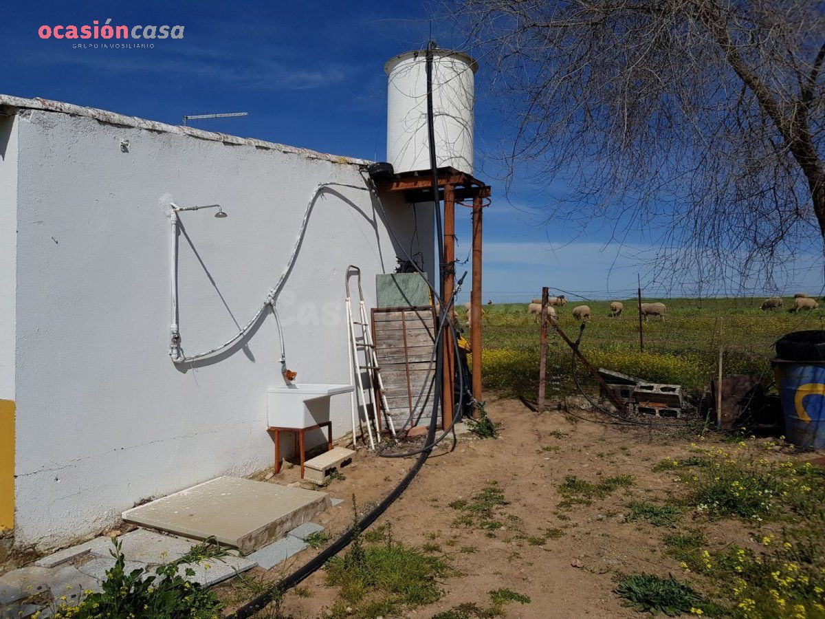 PARCELA CON PEQUEÑA CASA Y POZO - foto 3