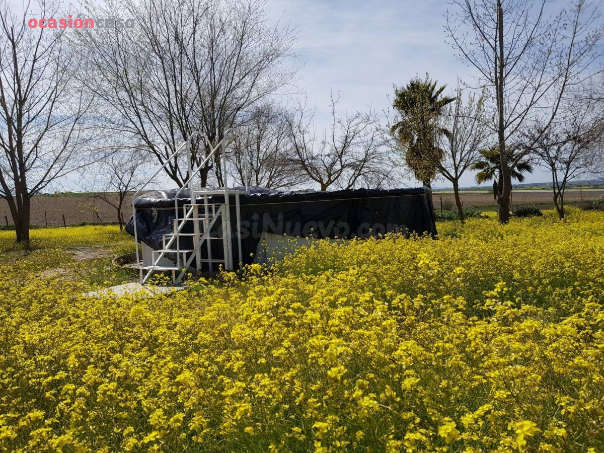 PARCELA CON PEQUEÑA CASA Y POZO - foto 4