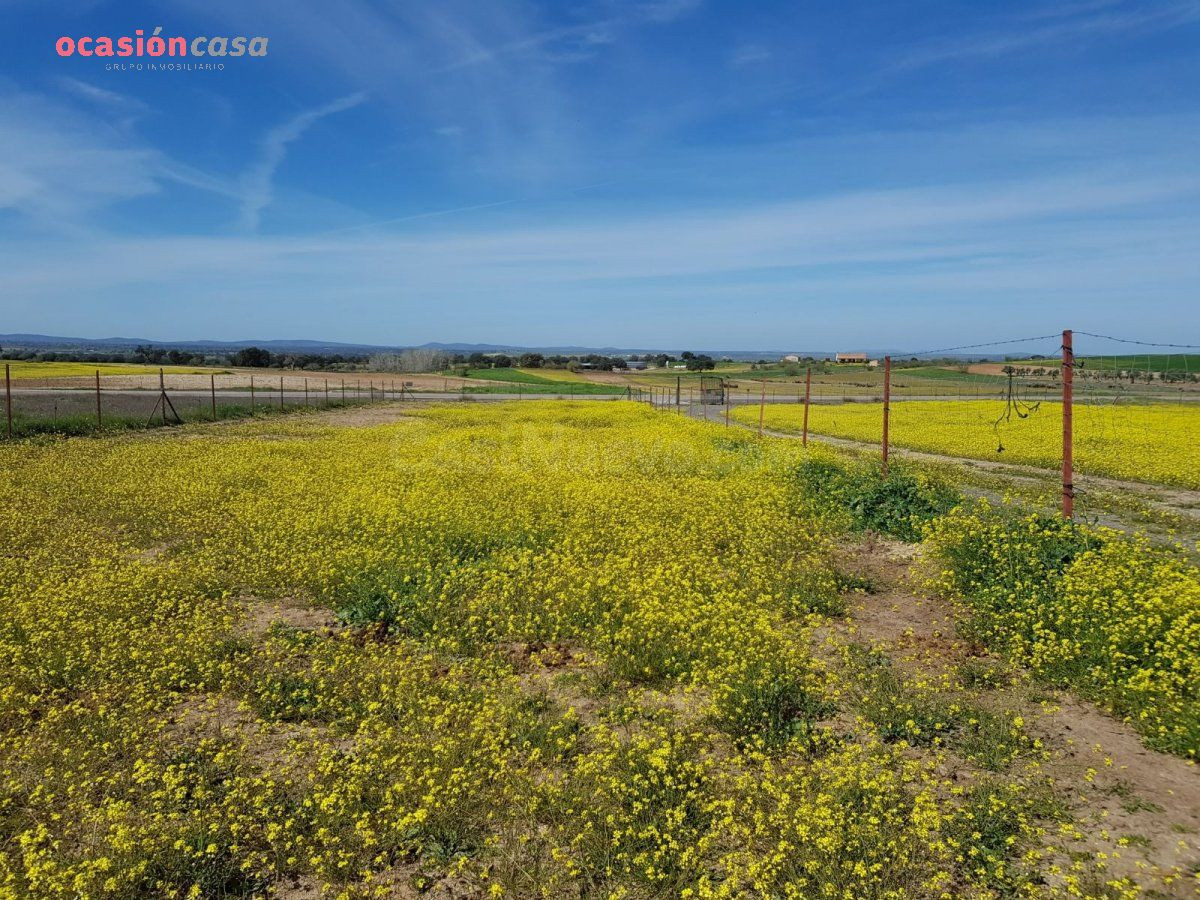 PARCELA CON PEQUEÑA CASA Y POZO - foto 5