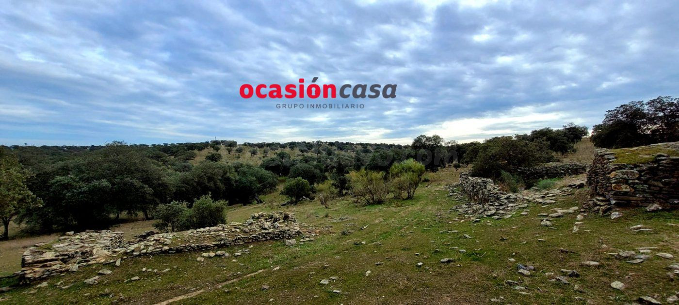 ENCINAR EN VENTA EN LOS PEDROCHES