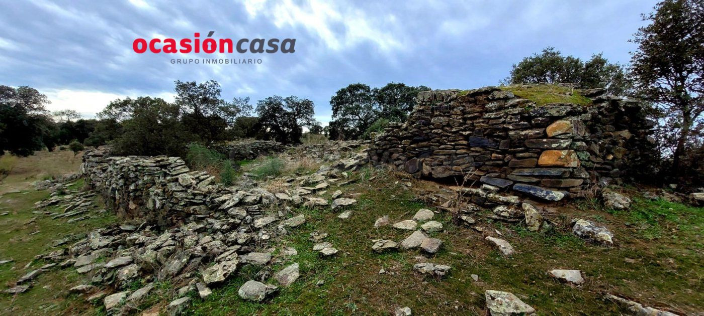 ENCINAR EN VENTA EN LOS PEDROCHES - foto 2