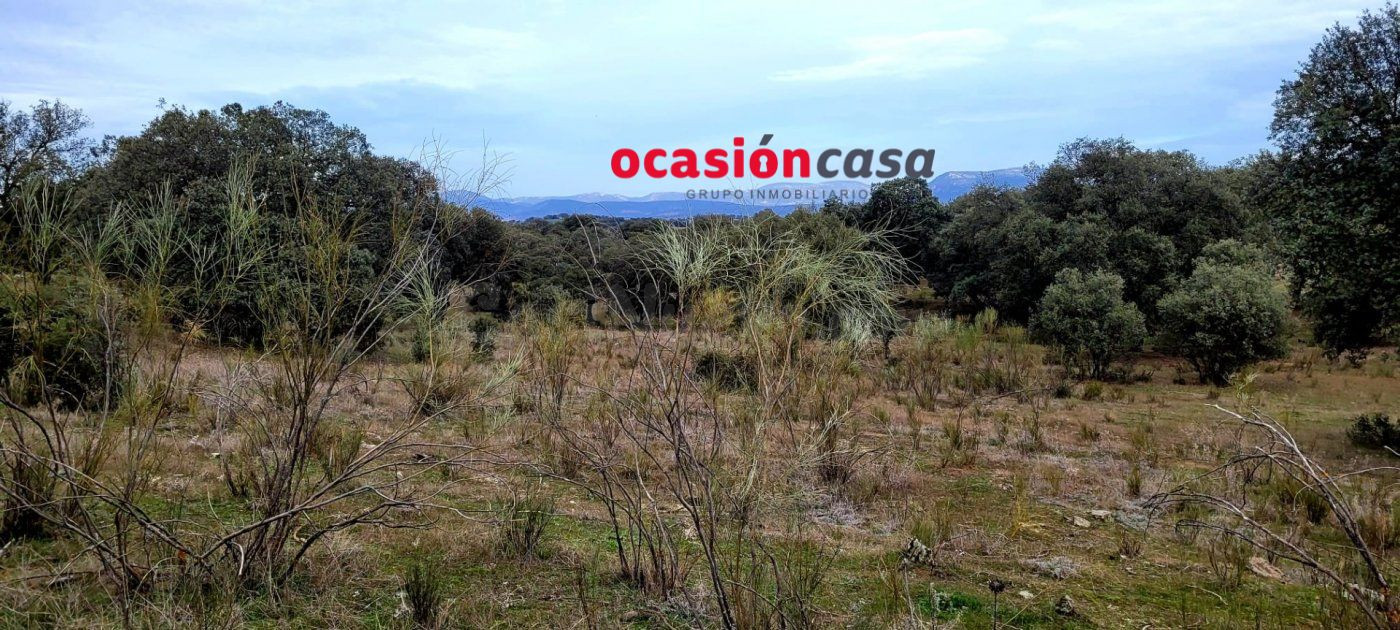 ENCINAR EN VENTA EN LOS PEDROCHES - foto 5
