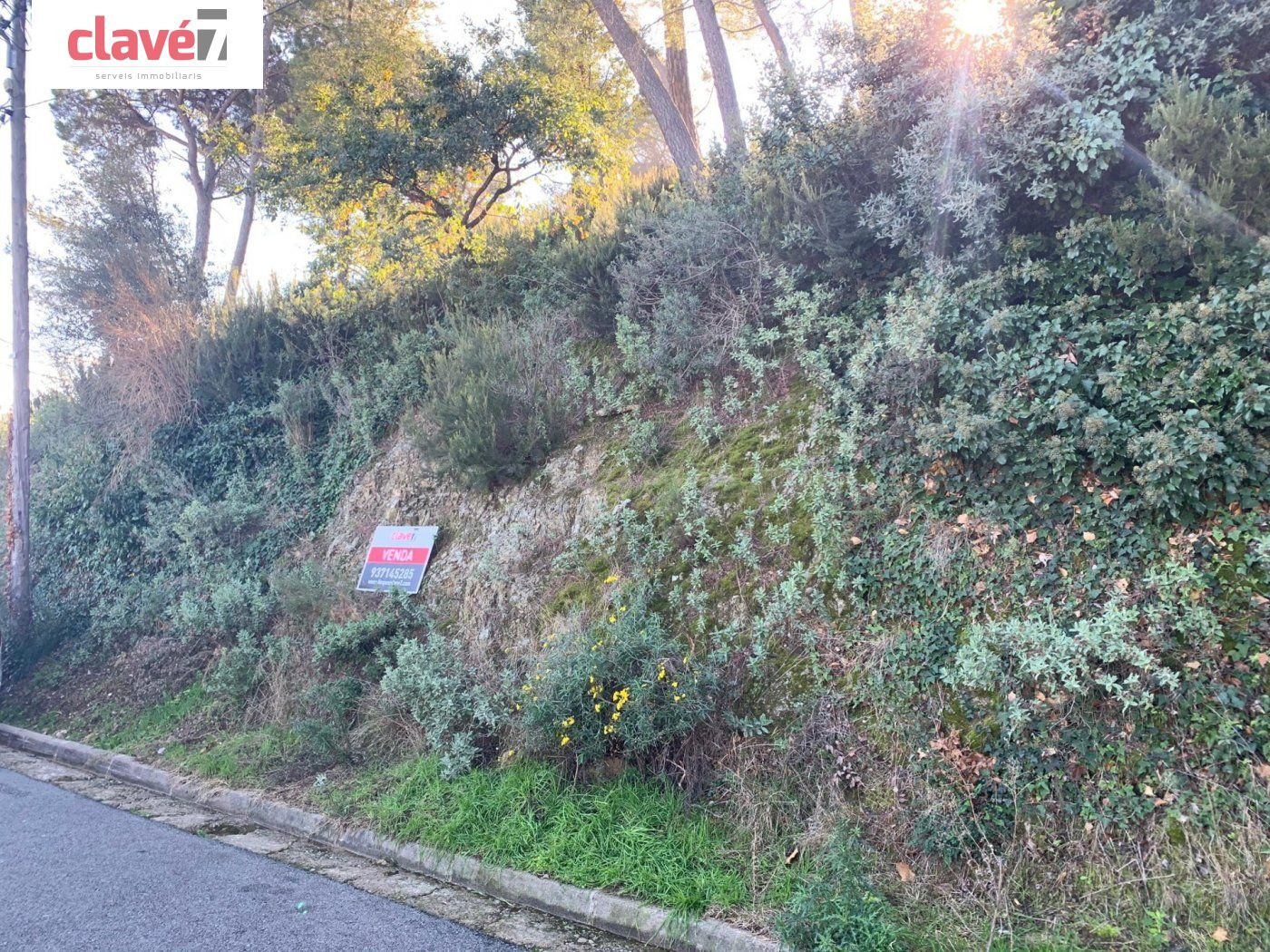 TERRENY EN VENDA A SANT FELIU DEL RACÓ
