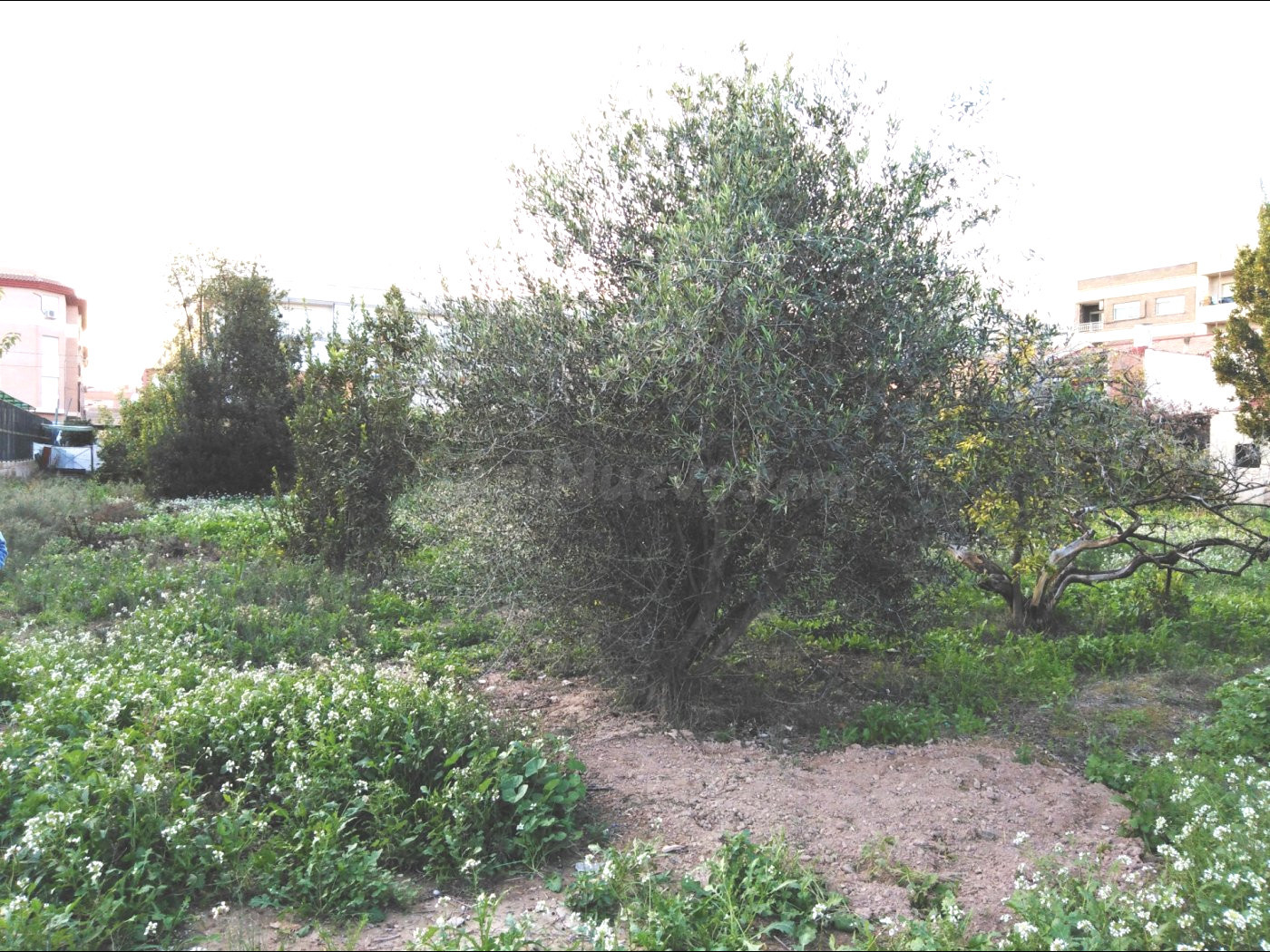 SE VENDE TERRENO RUSTICO EN PUENTE TOCINOS