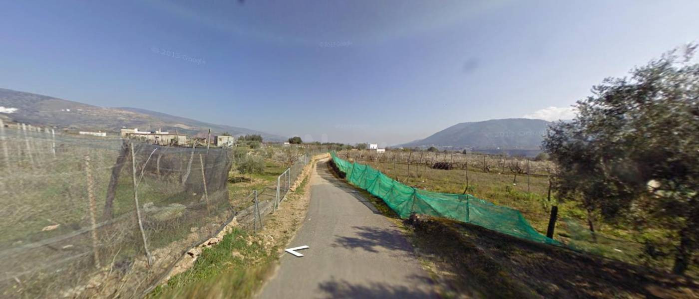FINCA RUSTICA CON VIÑEDOS