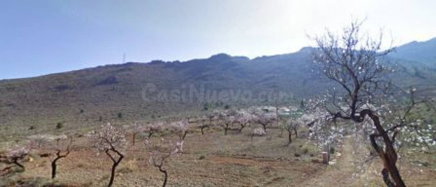 Finca rústica en venta en Fondón Finca rústica fondon