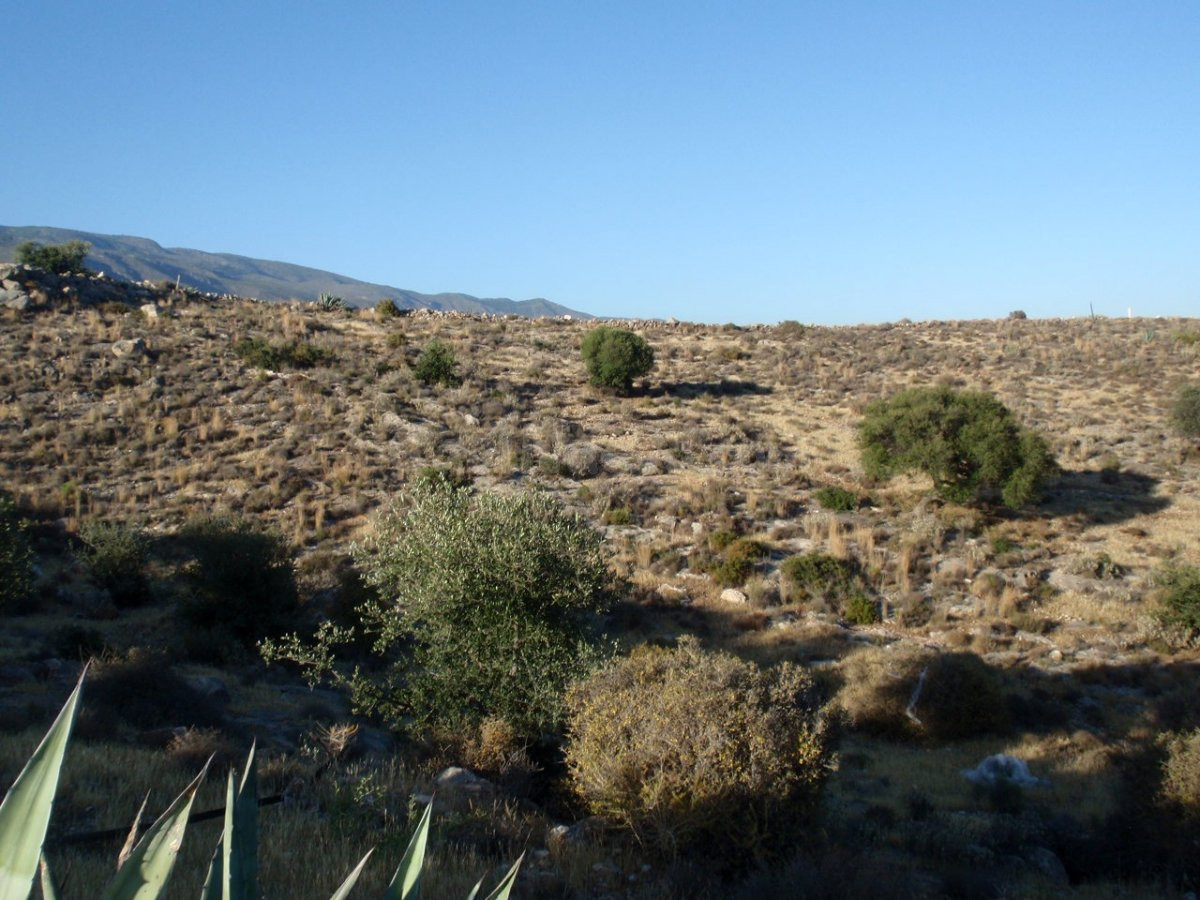 Pintoresco terreno con cortijos a rehabilitar. Desde 6400 m2 - foto 2