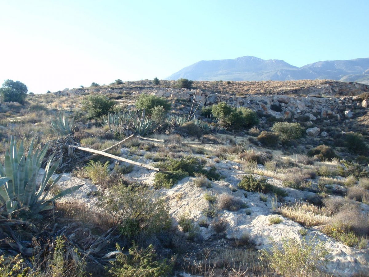 Pintoresco terreno con cortijos a rehabilitar. Desde 6400 m2 - foto 3