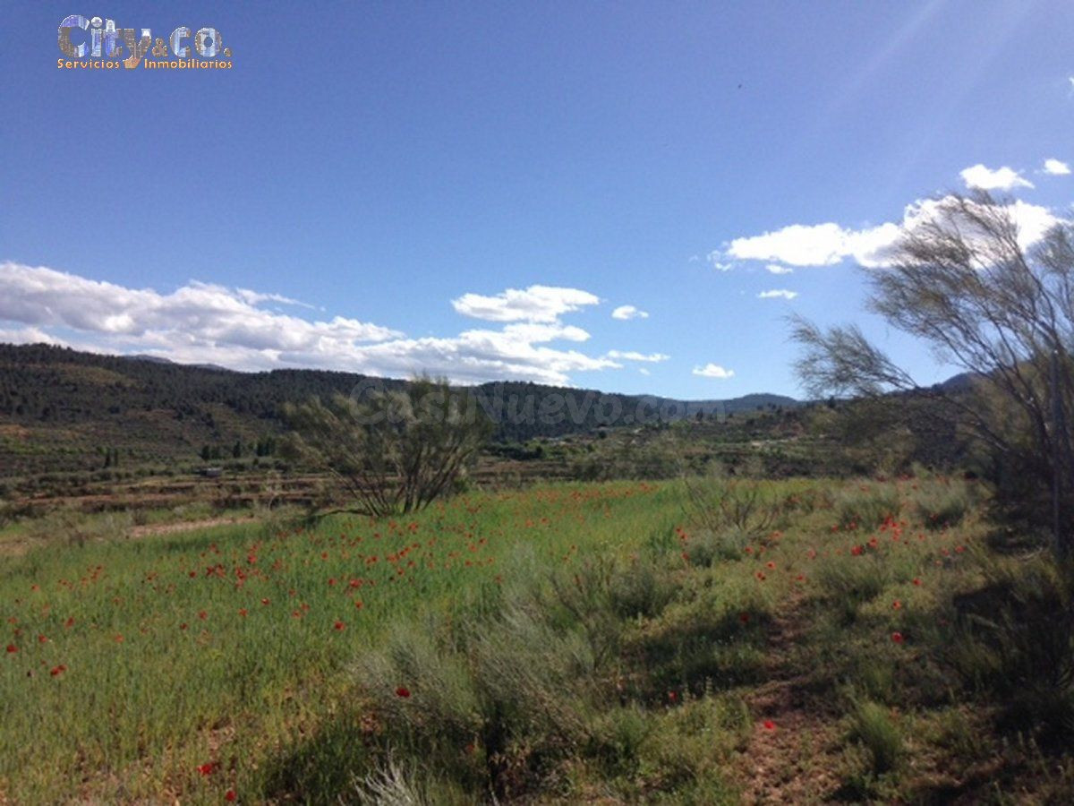 FINCA VENTA en NERPIO