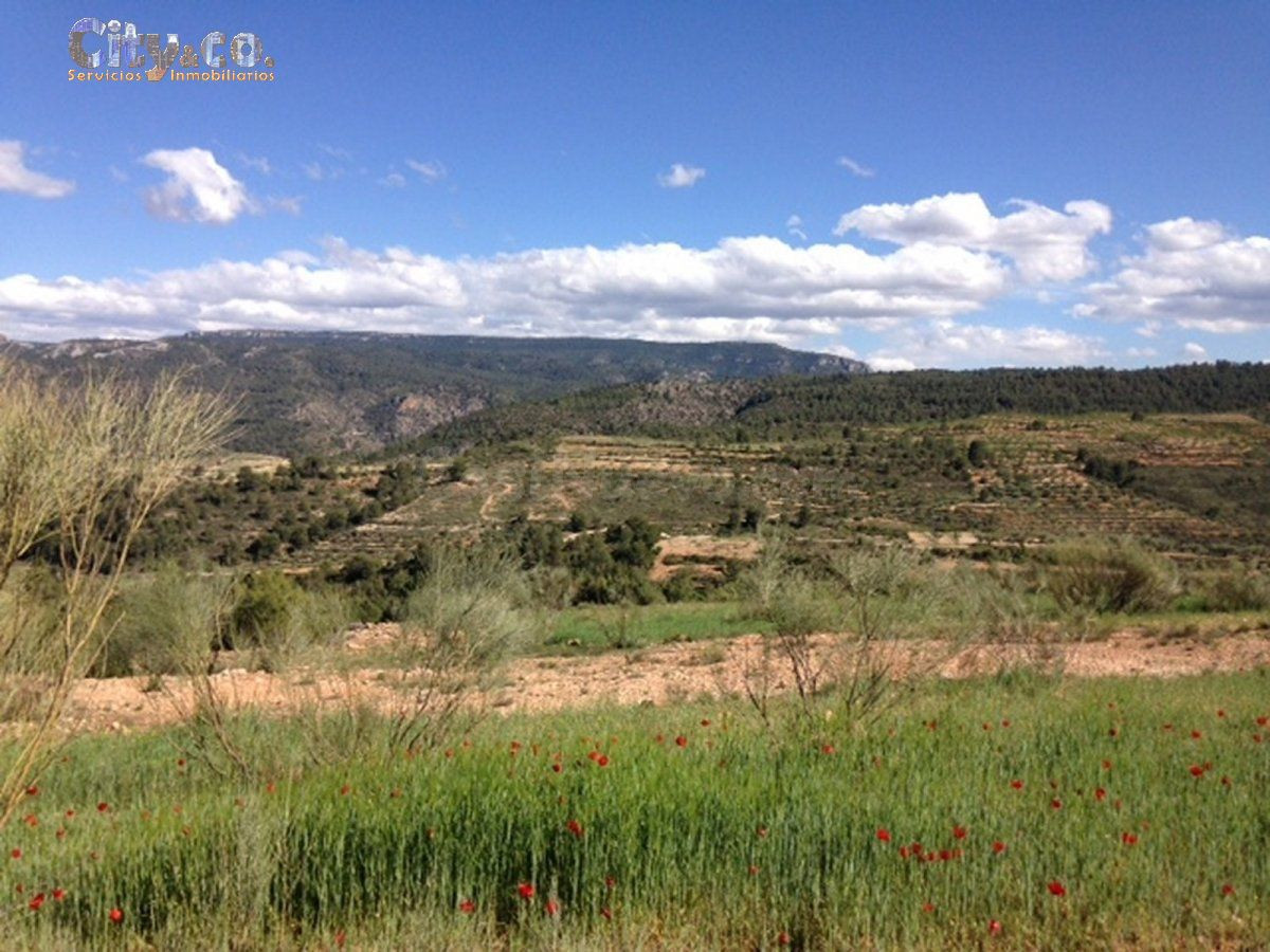 FINCA VENTA en NERPIO - foto 2