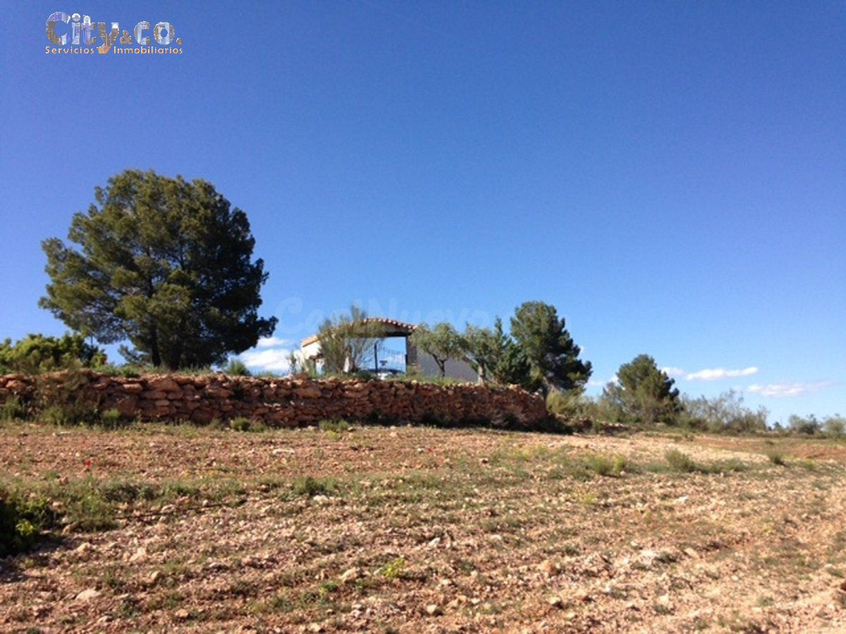 FINCA VENTA en NERPIO - foto 3