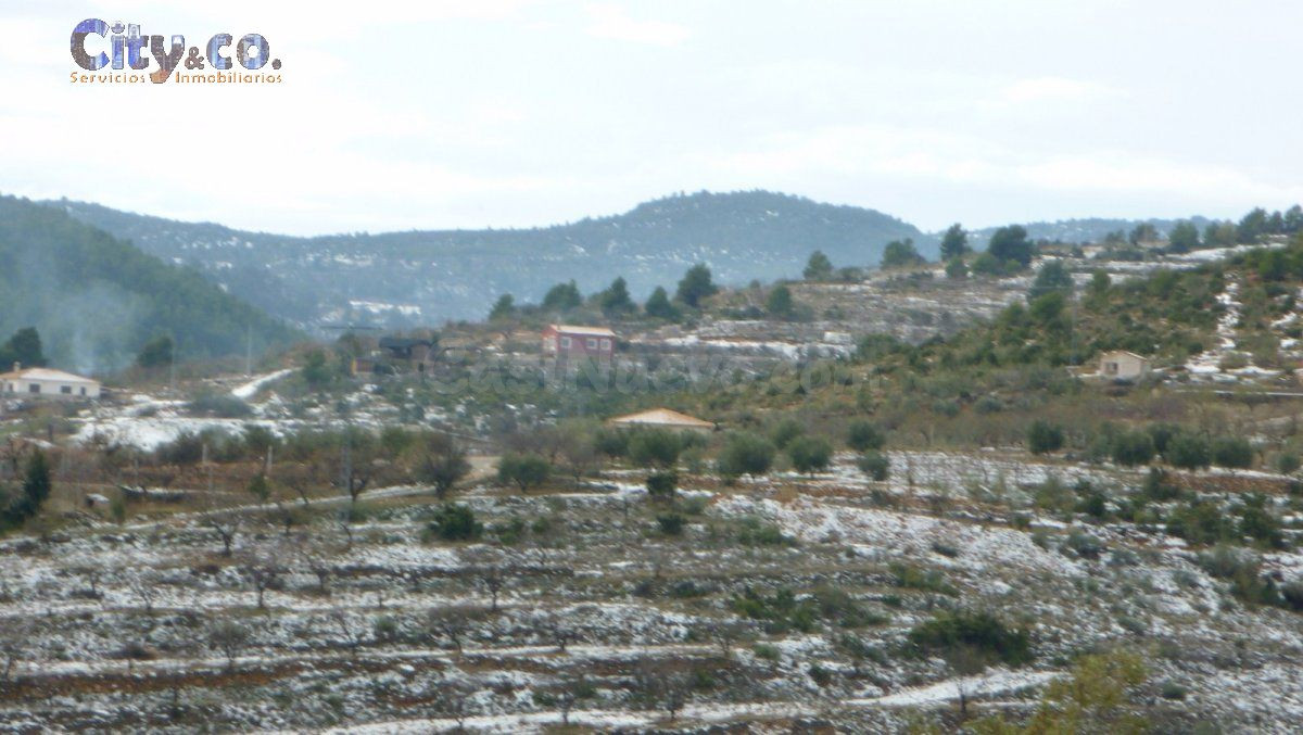 FINCA VENTA en NERPIO - foto 5