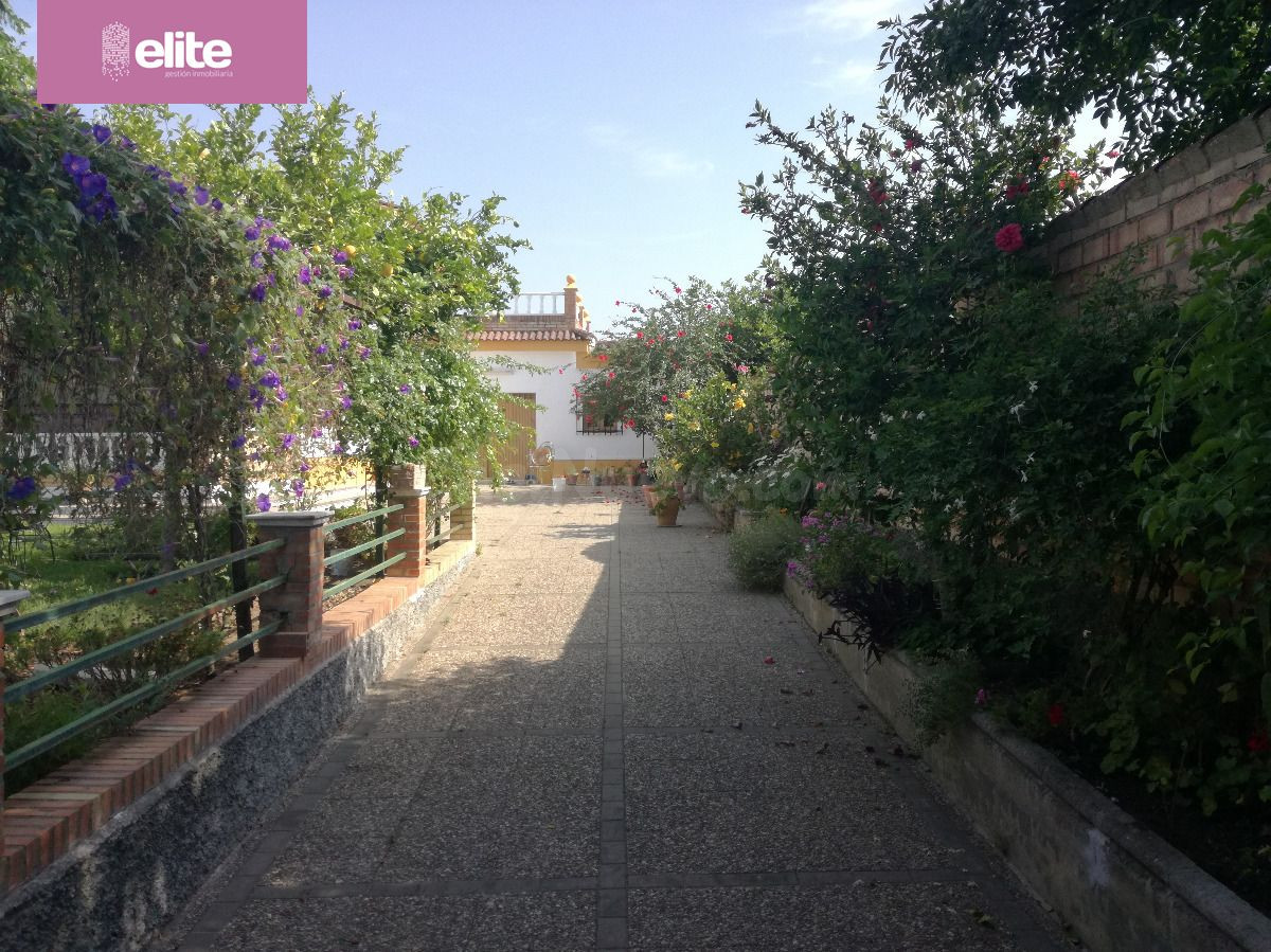 CHALET EN VENTA EN ARCOS - foto 3