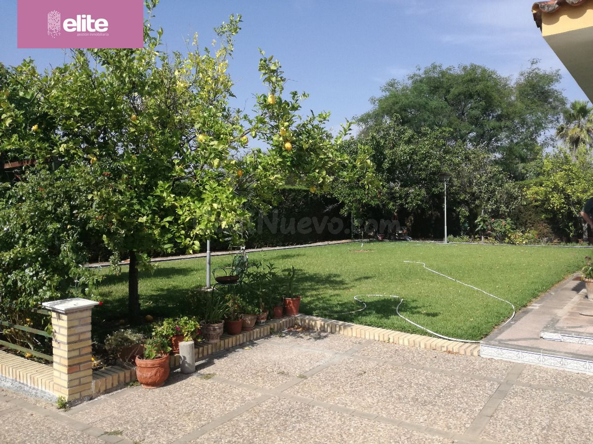 CHALET EN VENTA EN ARCOS - foto 4