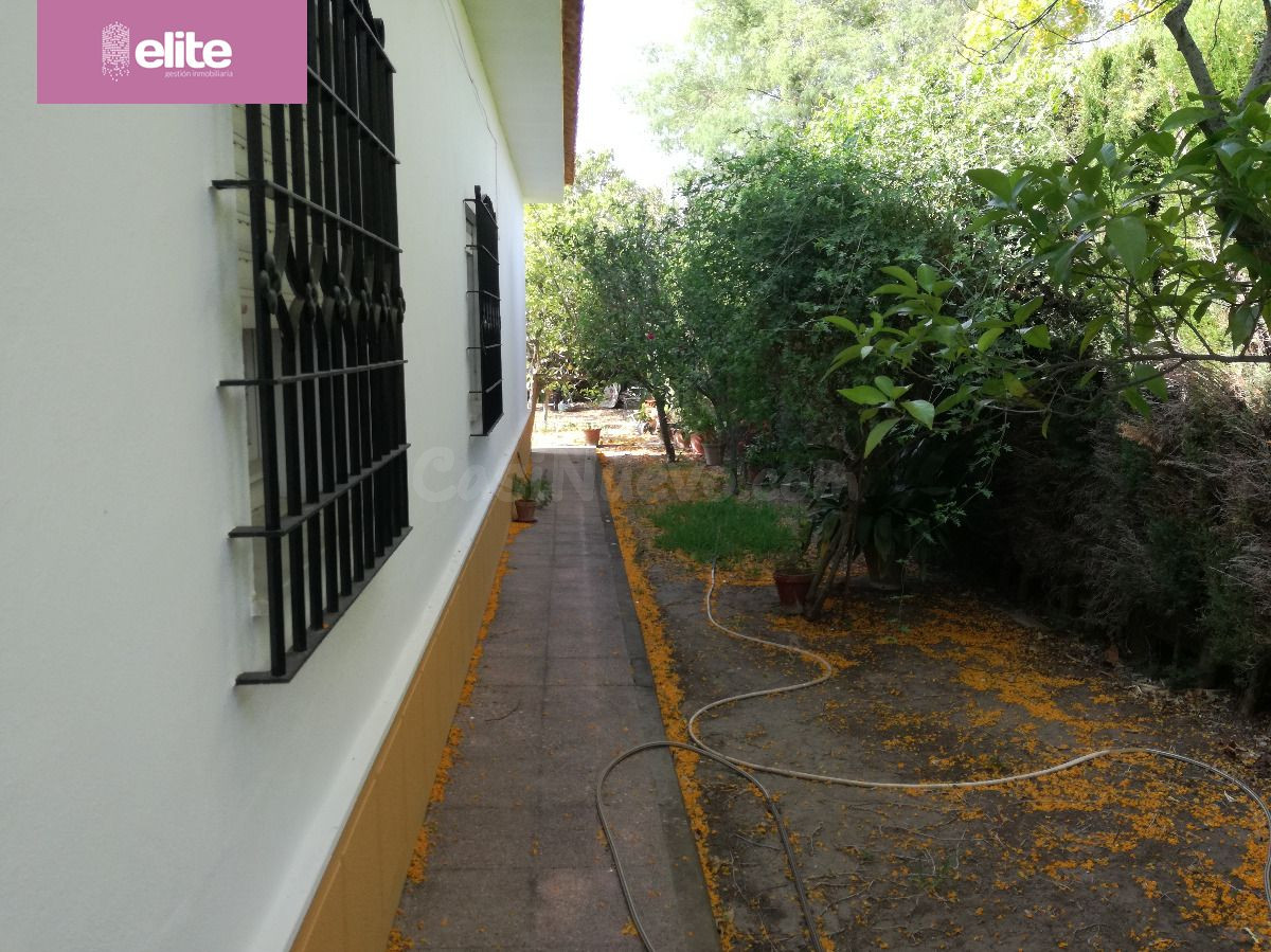CHALET EN VENTA EN ARCOS - foto 5