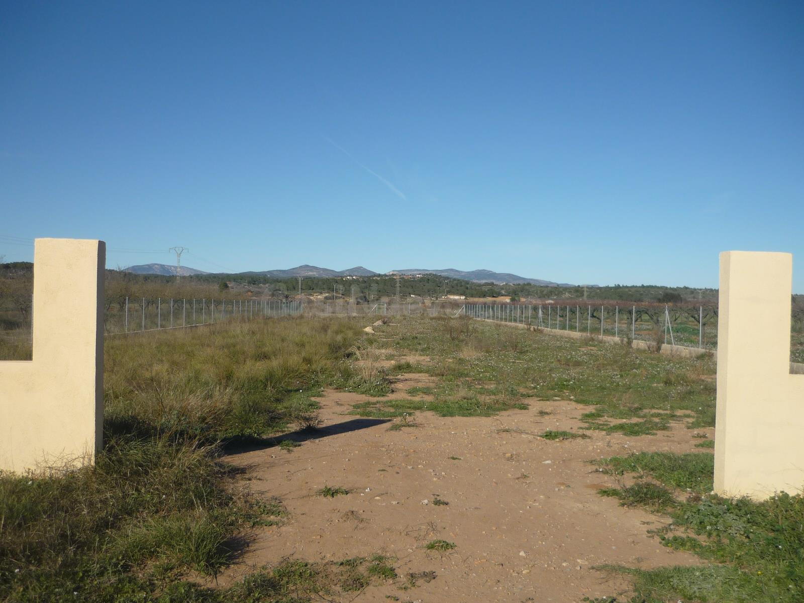 finca vallada con agua de riego - foto 3