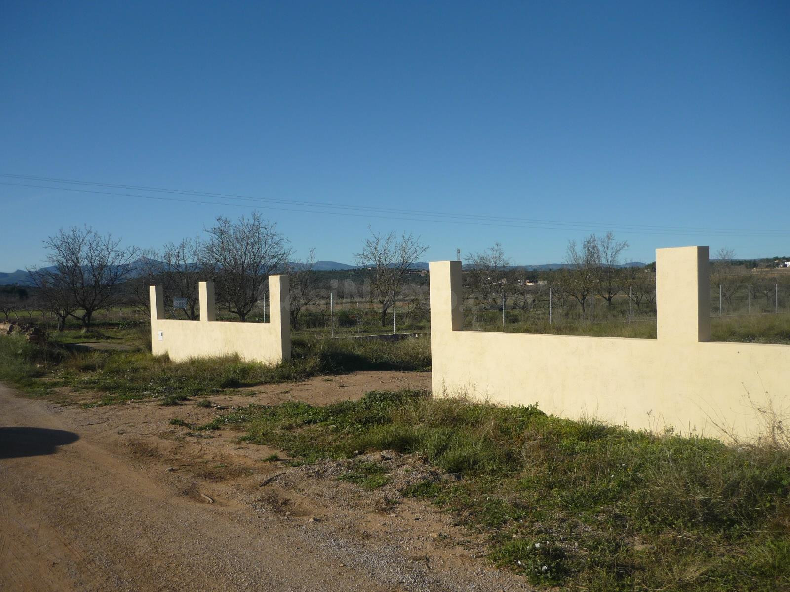 finca vallada con agua de riego - foto 4