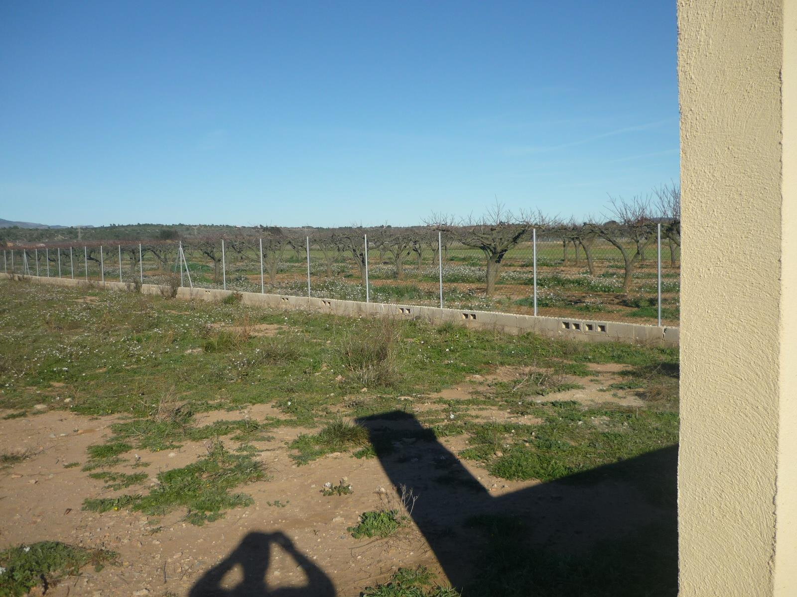 finca vallada con agua de riego - foto 5