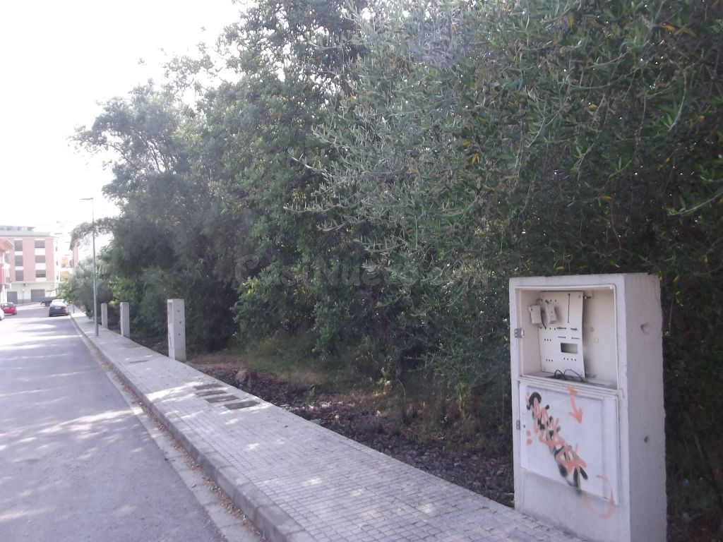 SOLAR URBANO EN VILLAFAMES - foto 4
