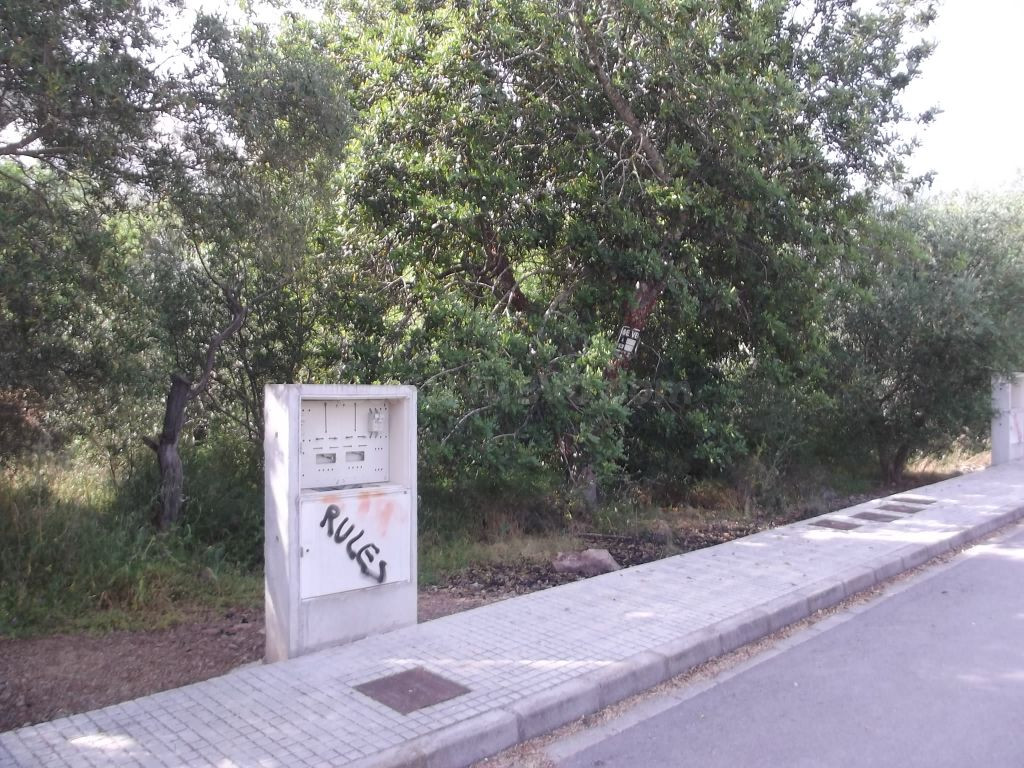 SOLAR URBANO EN VILLAFAMES - foto 5